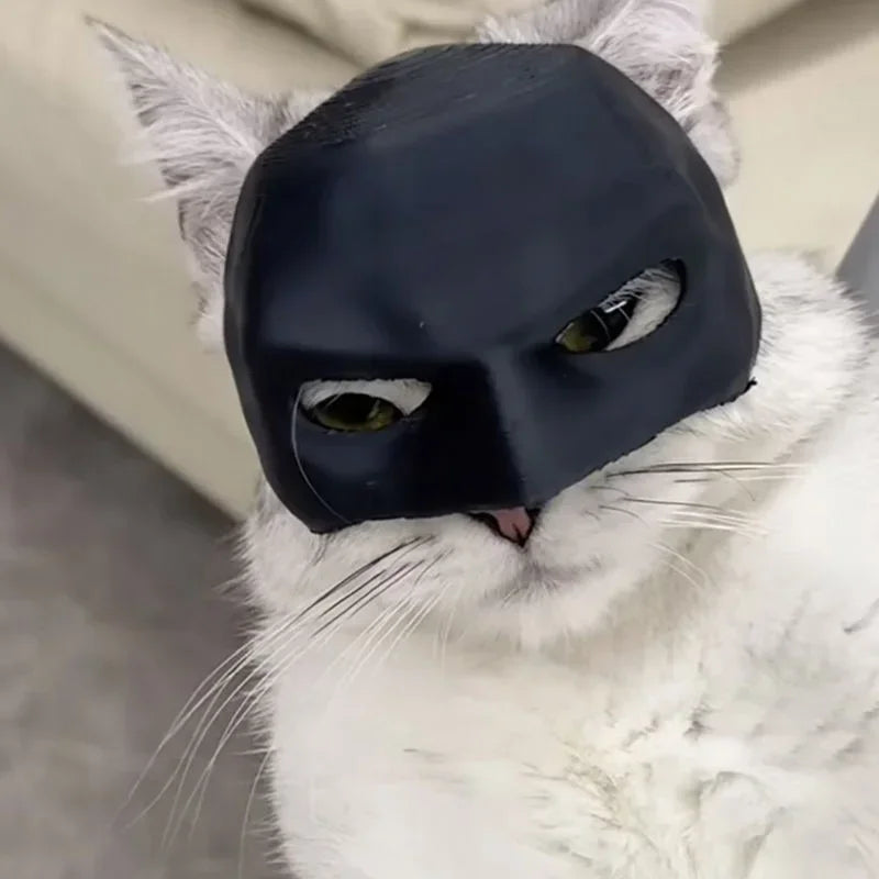 BatMeow