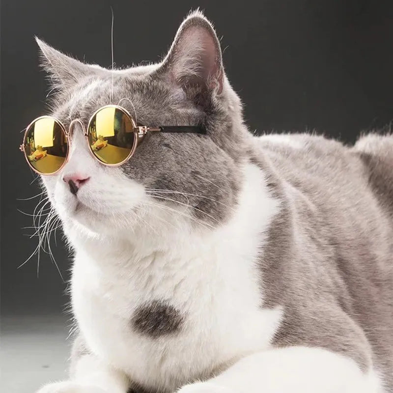 MeowLennon